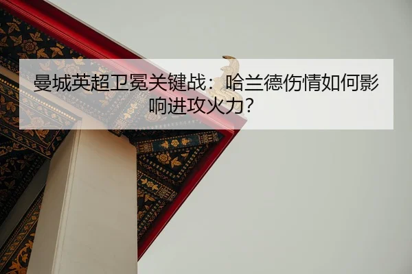 man-cheng-ying-chao-wei-mian-guan-jian-zhan-ha-lan-de-shang-qing-ru-he-ying-xiang-jin-gong-huo-li-2-800.jpg