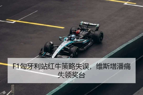 xiong-ya-li-zhan-hong-niu-ce-lve-shi-wu-wei-si-ta-pan-tong-shi-ling-jiang-tai-3-250.jpg
