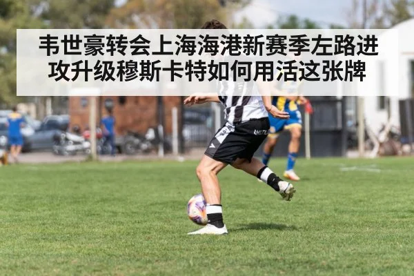 韦世豪转会上海海港新赛季左路进攻升级穆斯卡特如何用活这张牌