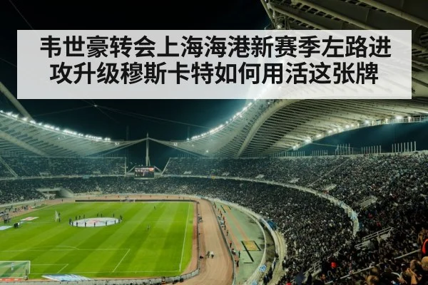 soccer stadium crowd